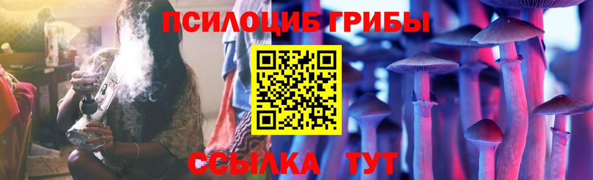 Галлюциногенные грибы Psilocybe Хасавюрт